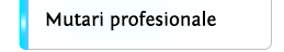 Mutari profesionale